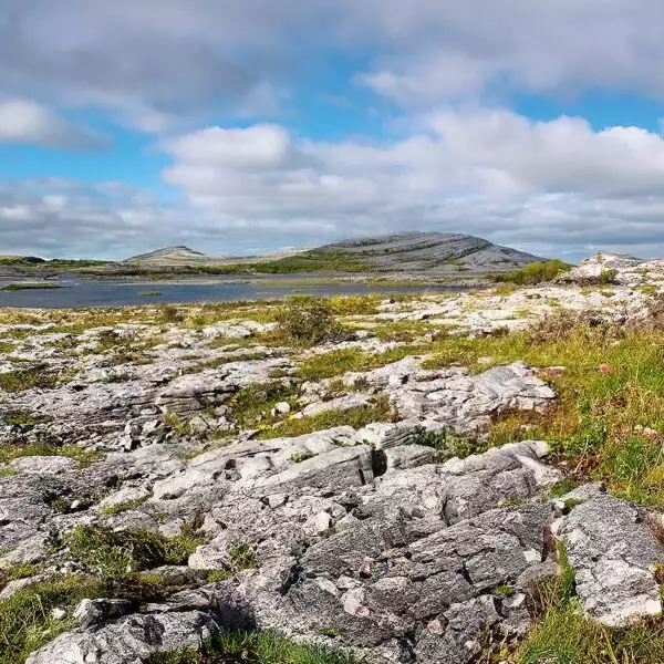 Explore the rugged landscape of the Burren.