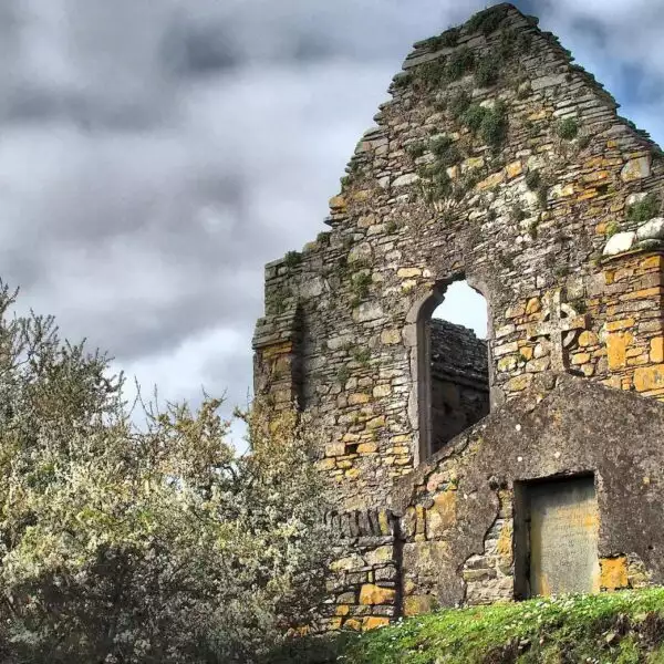 Take the boat to Scattery Island and visit the highest round tower in Ireland.